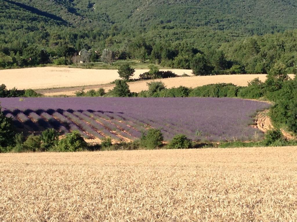 La Grande Bouisse Avec Piscine Dans Le Luberon, Provence Vakantiehuis
